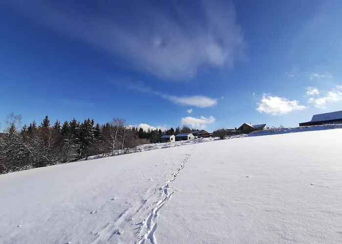 Alpesi faház Lucni